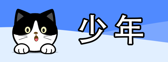 少年